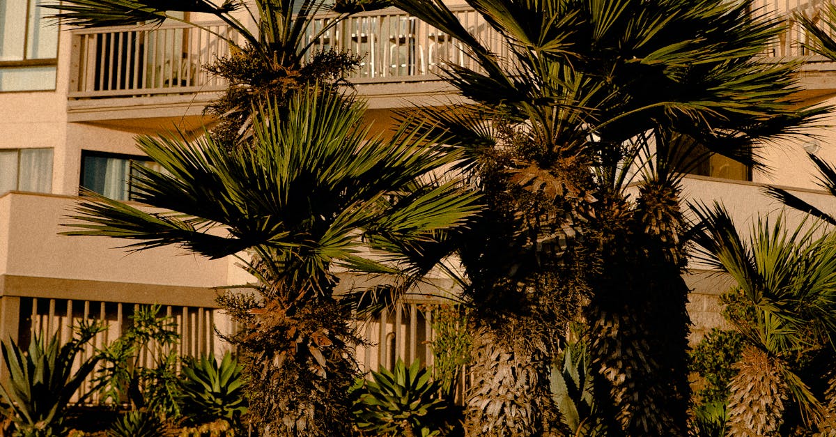 Designing Transitions to Connect Garden Spaces