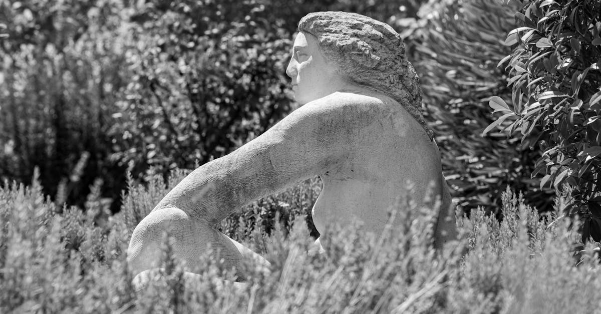 Implementing Rhythmic Structures in Landscape Gardening