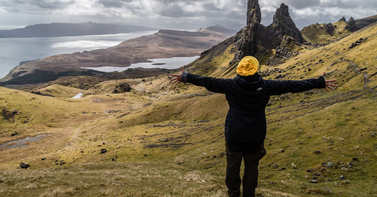 Understanding the Dynamics of Rhythm in Garden Design